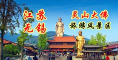 欧美日本大逼片视频江苏无锡灵山大佛旅游风景区