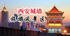 嗯唔视频操逼中国陕西-西安城墙旅游风景区